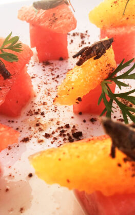 chef-4